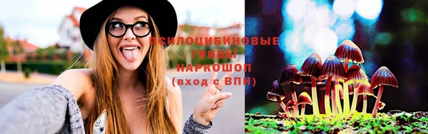 ECSTASY Алзамай