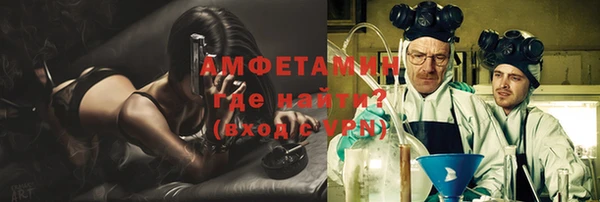 ECSTASY Алзамай