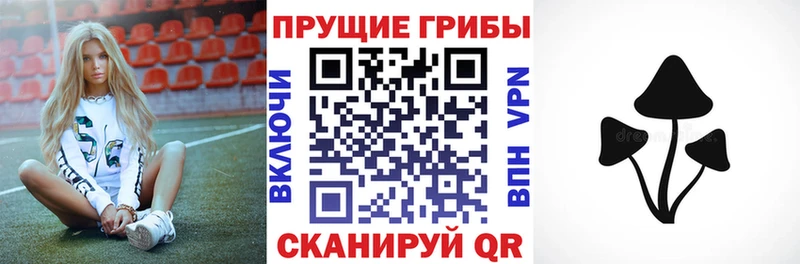 нарко площадка формула  Чкаловск  Псилоцибиновые грибы прущие грибы 